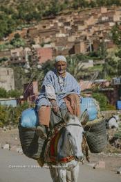 Image du Maroc Professionnelle de  Un berbère rentre chez lui à dos de mulet bien chargés de sacs de foins destinés à la nourriture du bétail après avoir fait ses courses au marché de Tnine Ourika, le village berbère située dans la vallée de l'Ourika sur la route de l'Oukaimden dans le haut Atlas, Mardi 27 Février 2007. (Photo / Abdeljalil Bounhar)